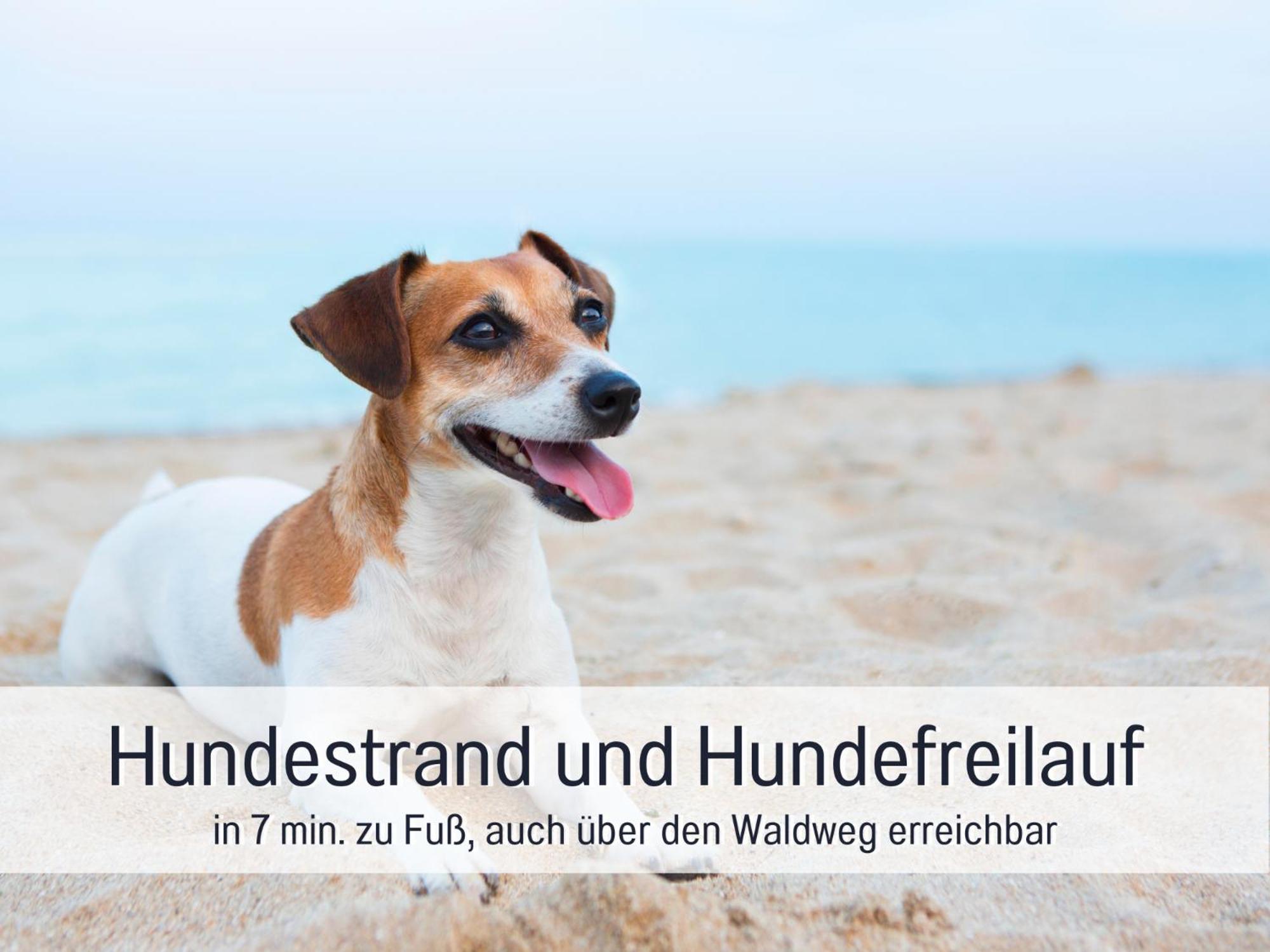 Strandloft Cuxhaven Im Haus Frauenpreiss Sahlenburg - Strandnah - 2 Hunde Willkommen -Schwimmbad - Sauna - Direkt Am Wald - Dachterrasse Mit Blick Nach Neuwerk Экстерьер фото